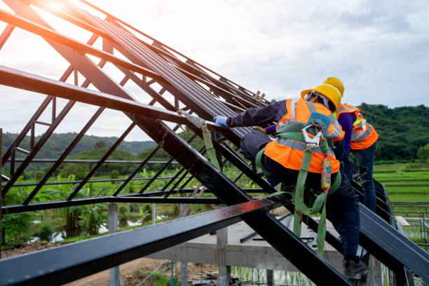 Best Metal Roofing Contractor  in Roan Mountain, TN
