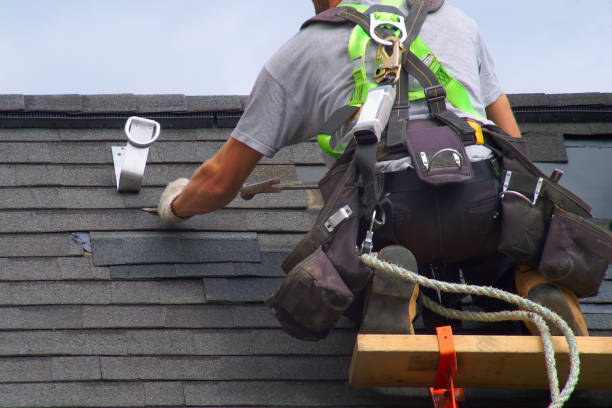 Best Flat Roof Repair Services  in Roan Mountain, TN